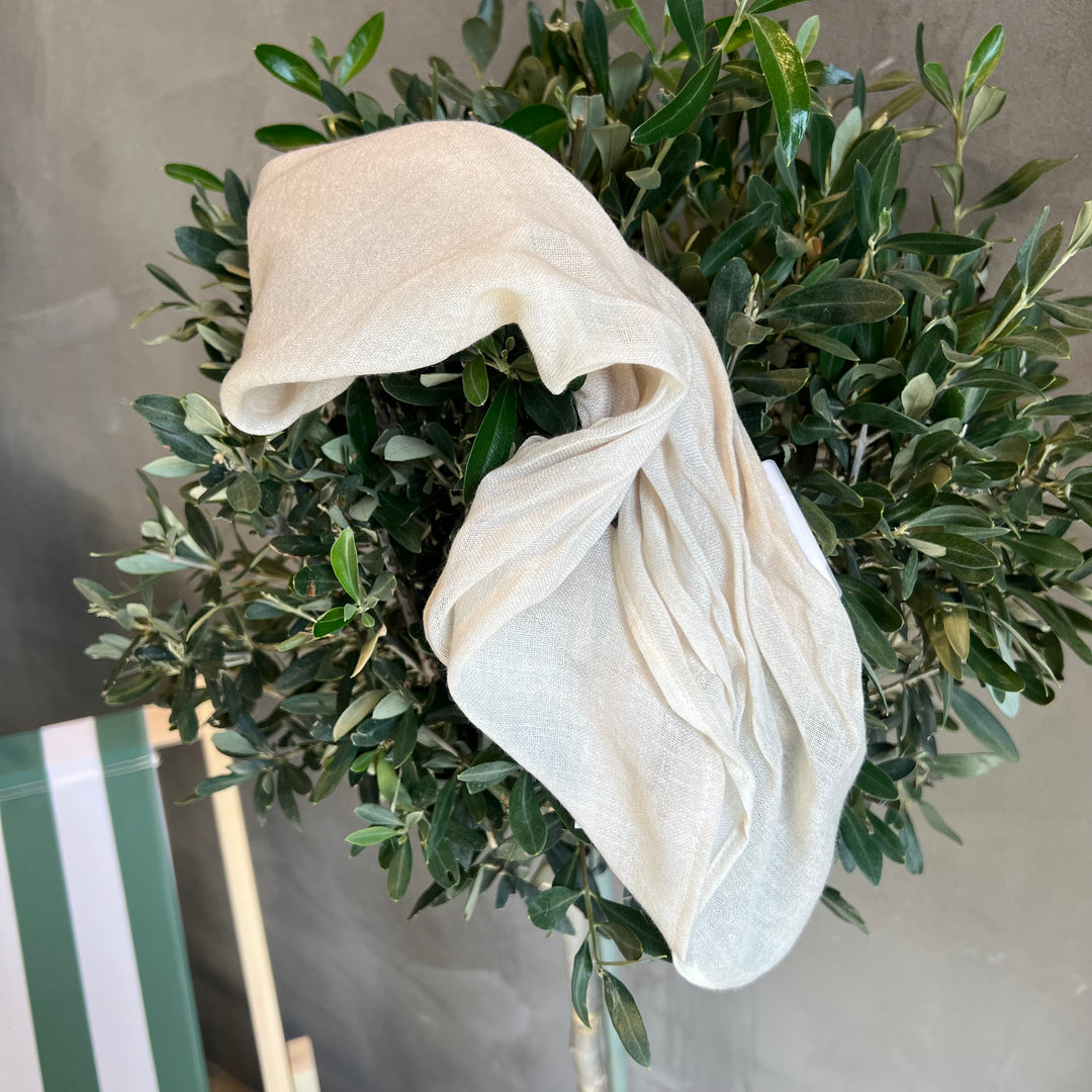 ANDREA'S 1947 CASHMERE TØRKLÆDE