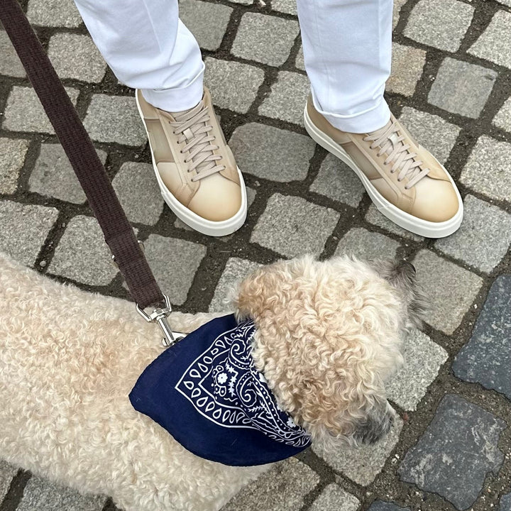 SANTONI SNEAKERS